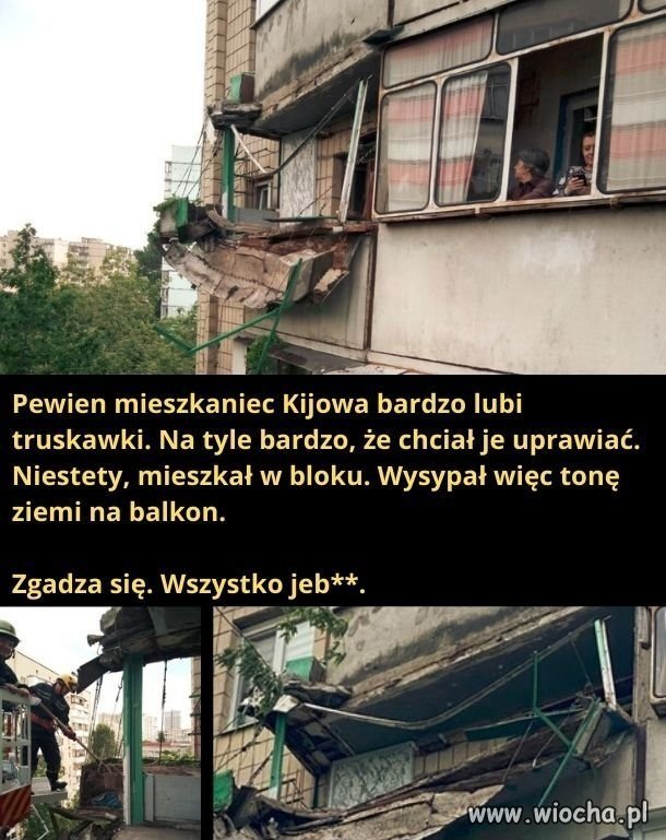 Truskawki i wszystko jeb**