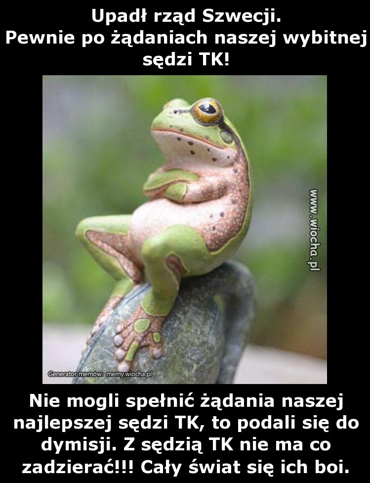 Upadł rząd Szwecji.