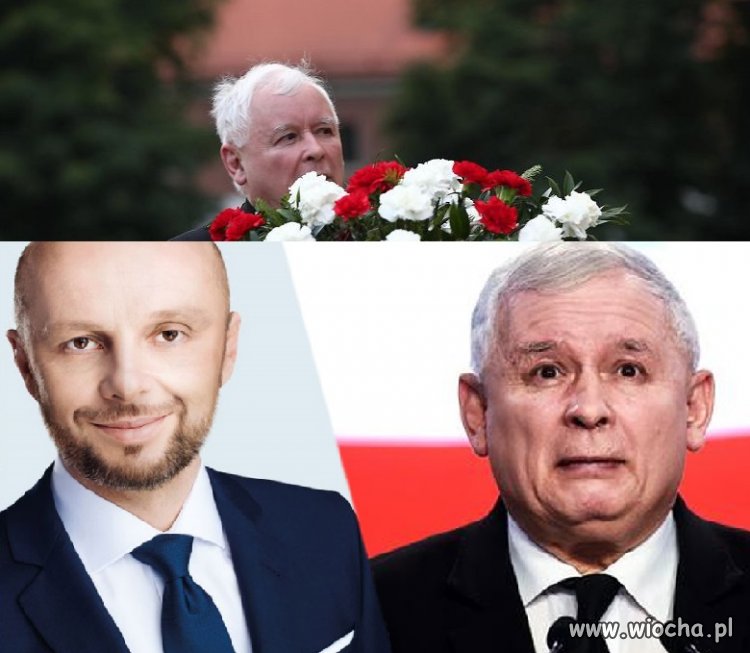 W Rzeszowie zakwitły Fijołki