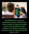 Okna życia w Nebrasce
