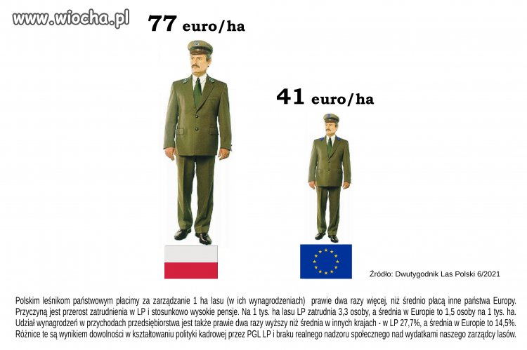 Lasy to też wiocha 