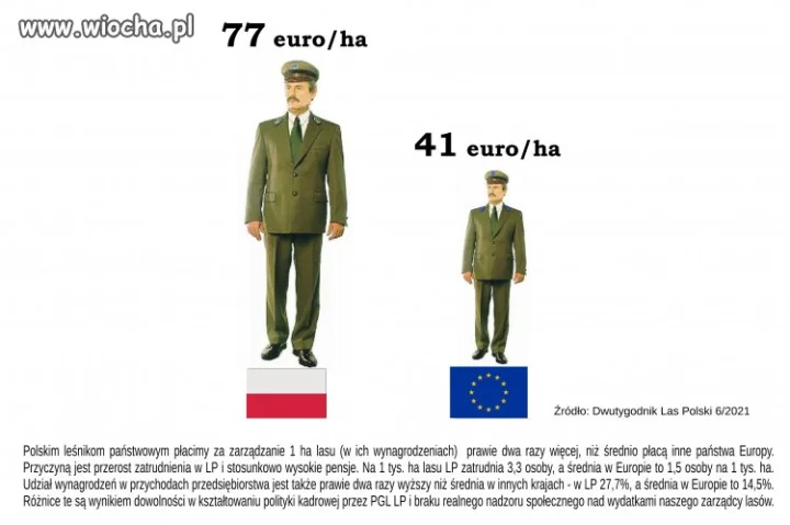 Lasy to też wiocha 