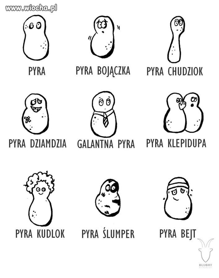 Obrazkowy słownik gwary poznańskiej...