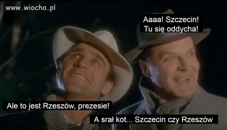 Srał kot...