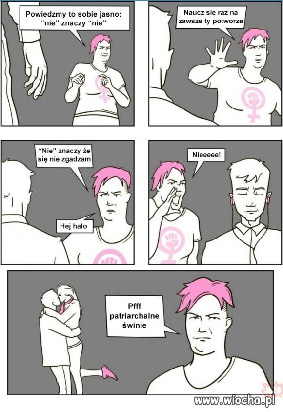 W urojonym świecie feminazistki