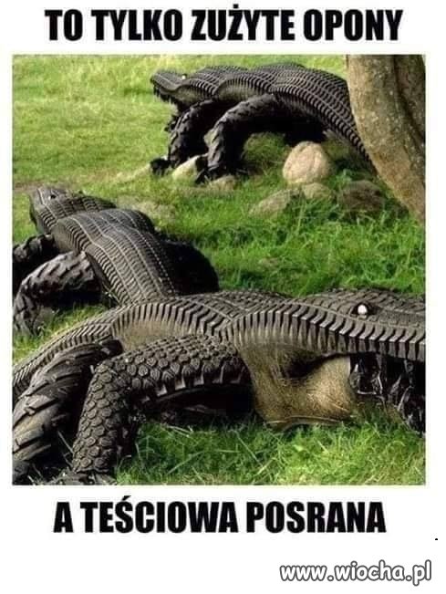 A kto nie był by