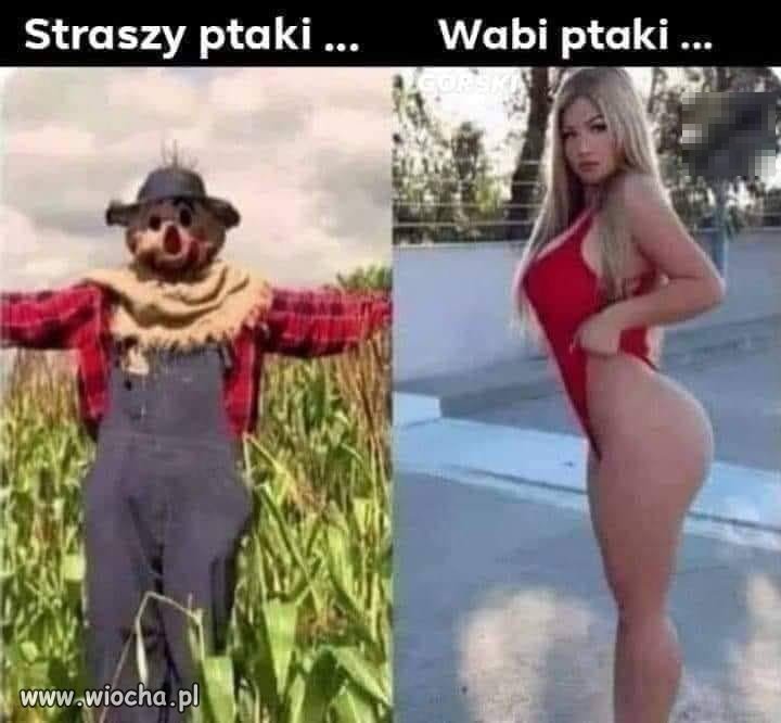 I jedno i drugie