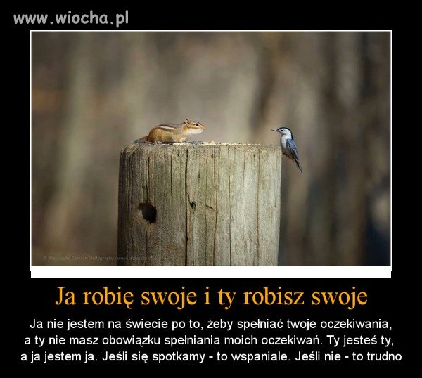 Krótko