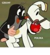 Bajka na czasie