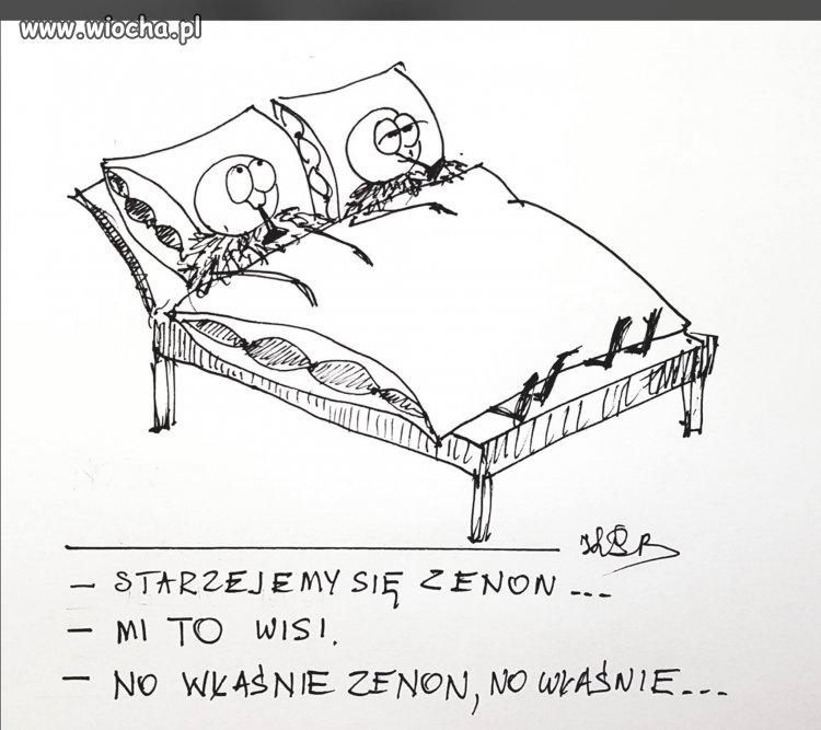 Wisi mi to 