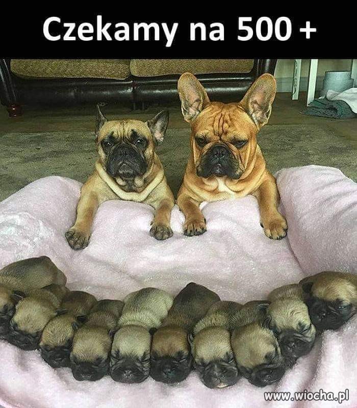 I to jest pozytywne