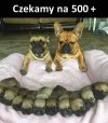 I to jest pozytywne