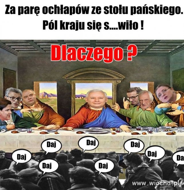 Polak to dziwne zwierzę