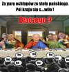 Polak to dziwne zwierzę
