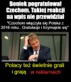 Świetnie grają 