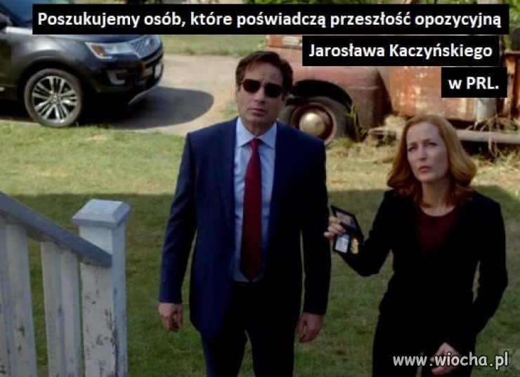 Poszukujemy świadków 