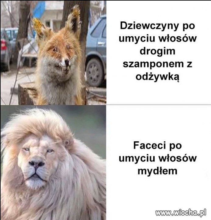 Faceci starzeją się