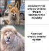 Faceci starzeją się