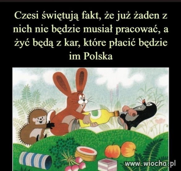 Czesi dziękują rządom PiSu...