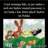 Czesi dziękują rządom PiSu...