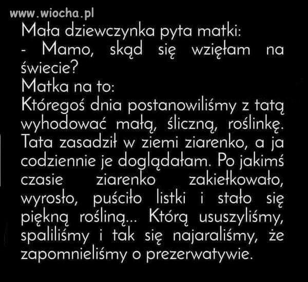 Jak powstał marszałek ćpun.