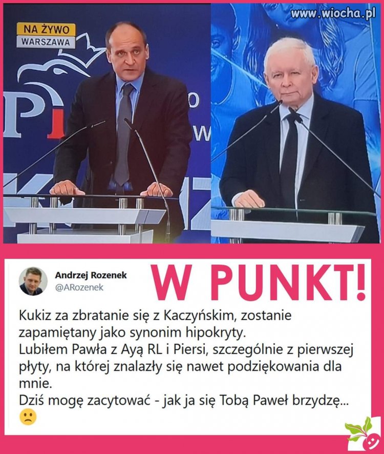 Jak ja się tobą Paweł brzydzę 