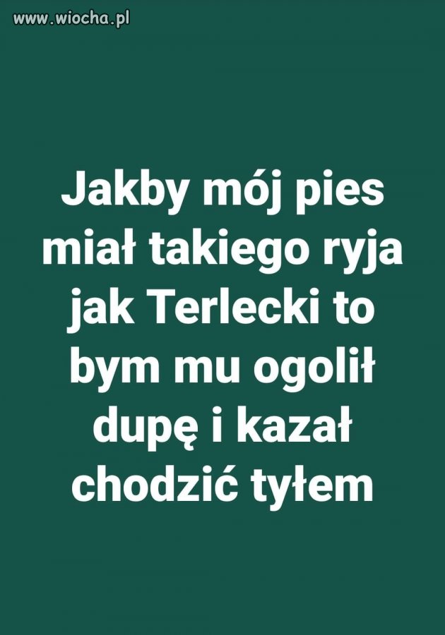 Dobrze że nie mam psa