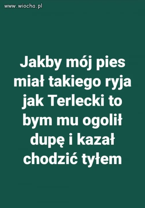 Dobrze że nie mam psa