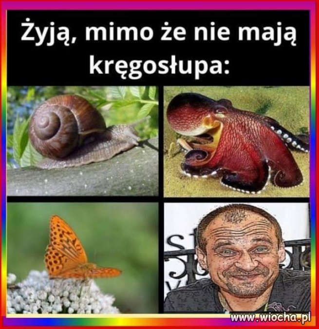 Można ? Można ...