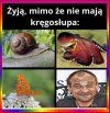 Można ? Można ...