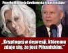 Krótko i dosadni, brawo