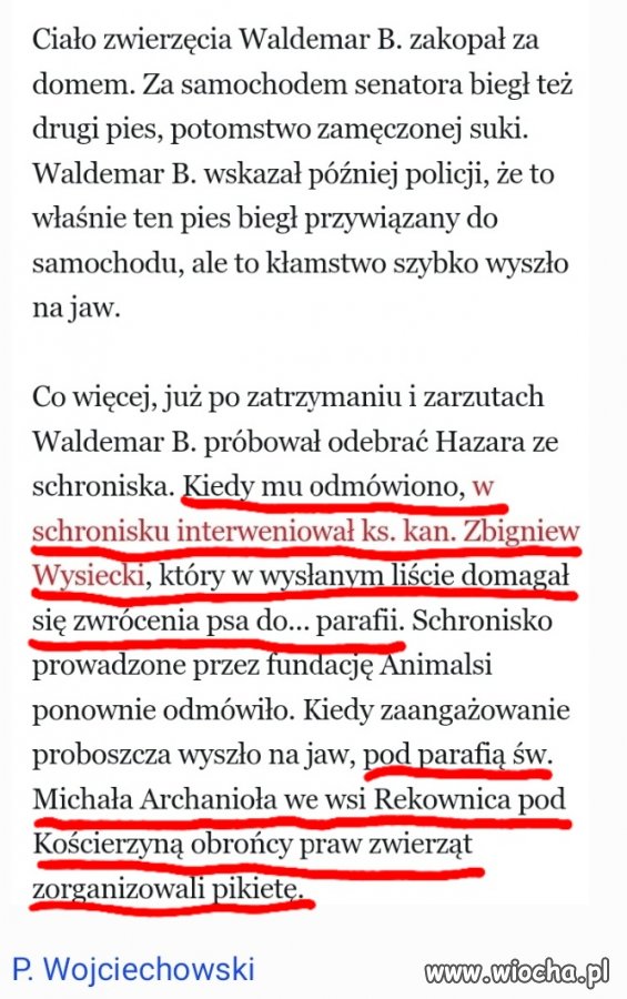 Sprawa b. senatora PiS i znęcania się nad psem
