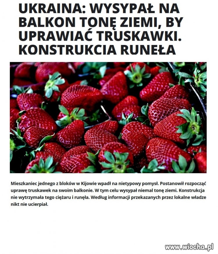 Kiedy truskawka jest towarem luksusowym 