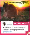 Wierszyk na dziś