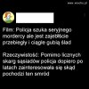 Rzeczywistość 