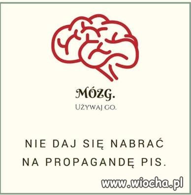 Rodaku, używaj tego organu ...