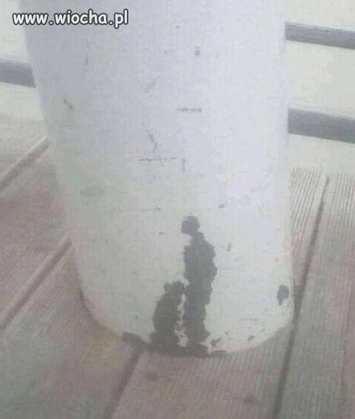 Bóg daje znaki