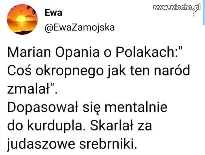 Judaszowe