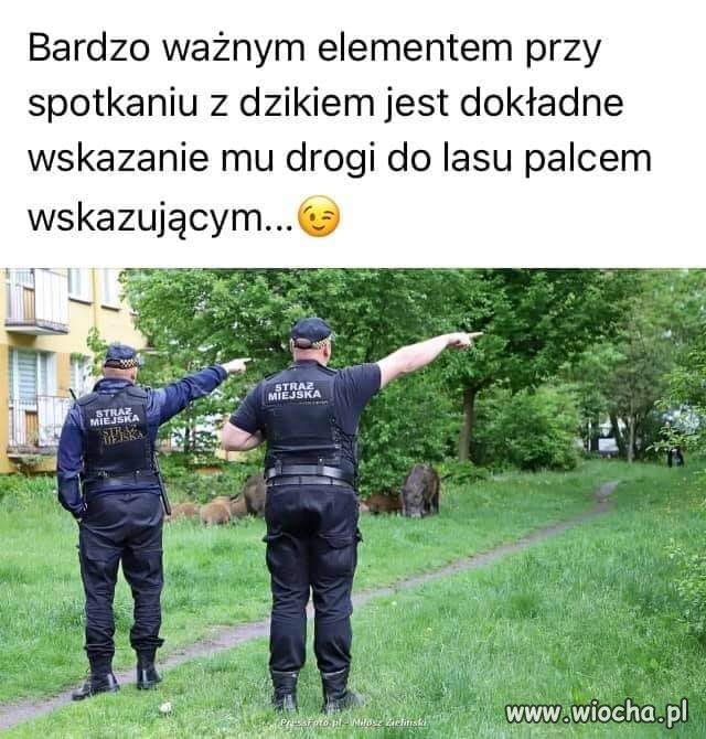 Popieram
