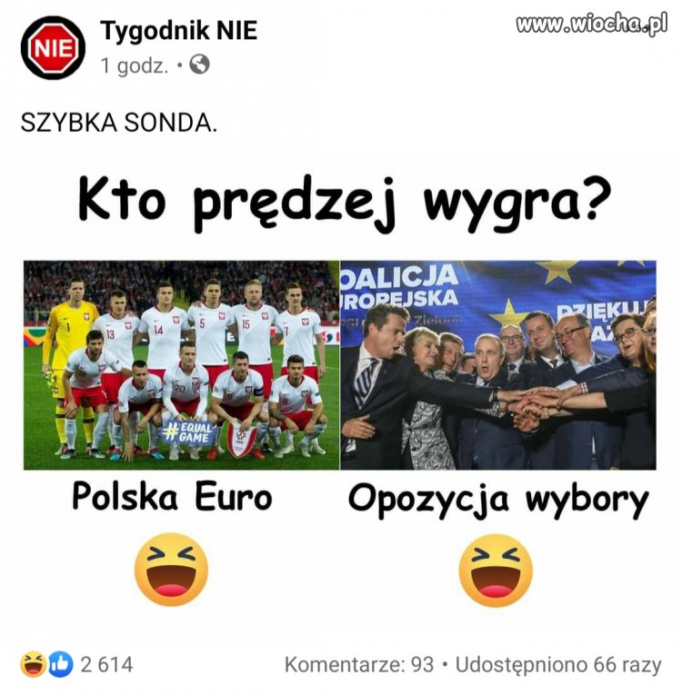 Szybka sonda