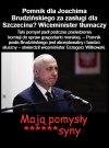Pomnik dla zasłużonego syna 
