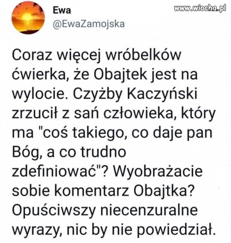 Wróbelki ćwierkają, że ...