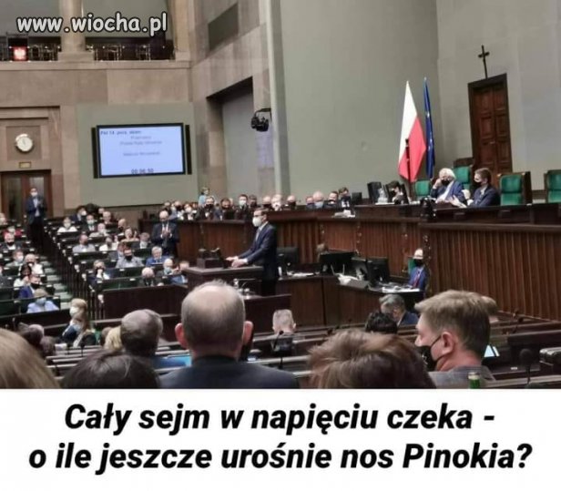 Ciągle rośnie aż przerośnie sosne...
