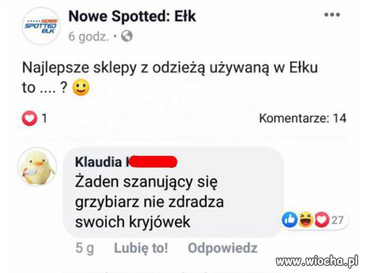 Pod włos, to my, nie nas 