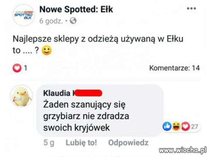 Pod włos, to my, nie nas 