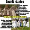 Znajdź różnice.