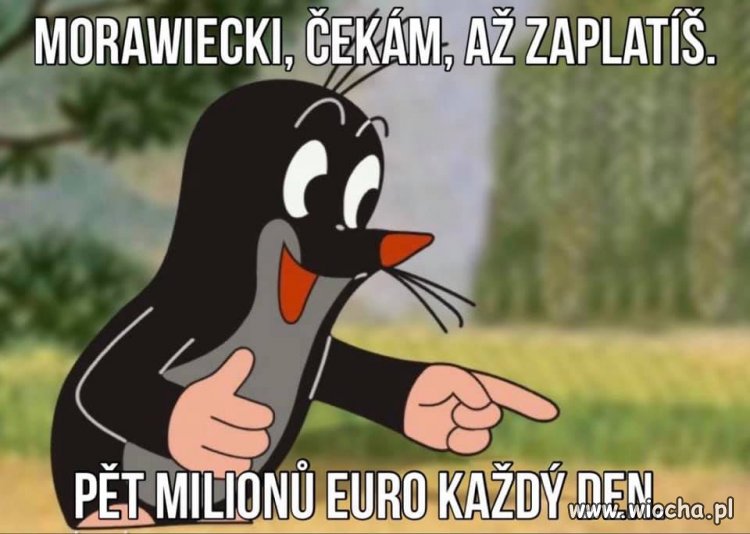 Krecik czeka