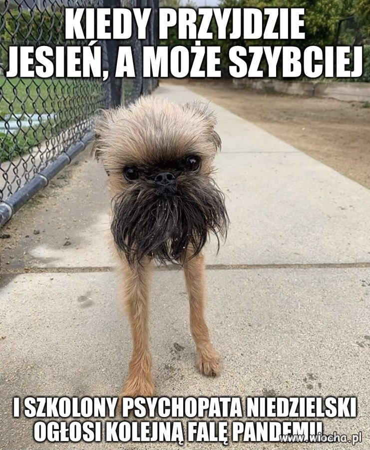 Jakiegoś dnia będzie 1000 zakażeń to dla nich już będzie