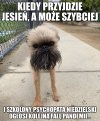 Jakiegoś dnia będzie 1000 zakażeń to dla nich już będzie