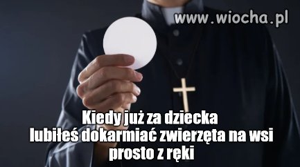 Konkwistadorzy 